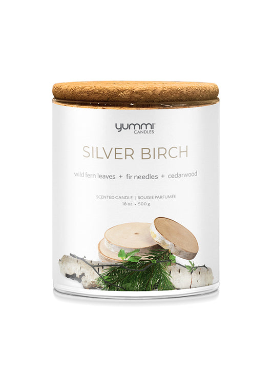 Bulk 18oz Silver Birch Scented Jar Candles