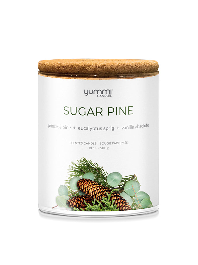 Bulk 18oz Sugar Pine Scented Jar Candles